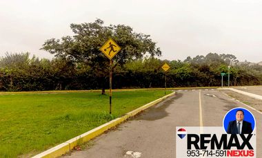 SE VENDE TERRENO EN SANTA CRUZ DE FLORES EN CAÑETE