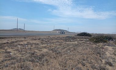SAN PEDRO DE LLOC REMATE 28.59 HECTÁREAS EN PLENA PANAMERICANA