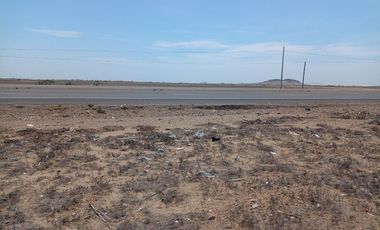 SAN PEDRO DE LLOC REMATE 28.59 HECTÁREAS EN PLENA PANAMERICANA