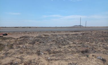 SAN PEDRO DE LLOC REMATE 28.59 HECTÁREAS EN PLENA PANAMERICANA