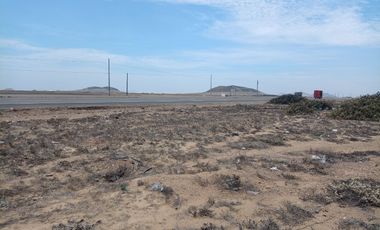 SAN PEDRO DE LLOC REMATE 28.59 HECTÁREAS EN PLENA PANAMERICANA