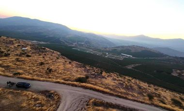 Venta de Hectárea