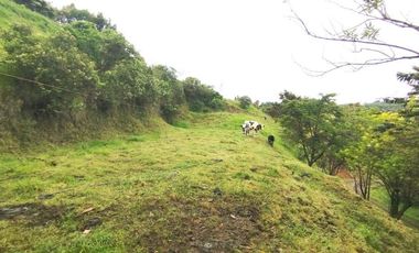 LOTES EN VENTA CHACHATOY PASTO