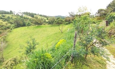 LOTES EN VENTA CHACHATOY PASTO