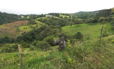LOTES EN VENTA CHACHATOY PASTO