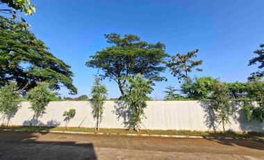 Rumah Besar Hadap Taman luas Di Kemang Pratama