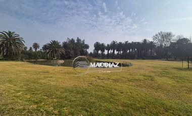 Exclusivo Condominio Las Palmas de Oliveto