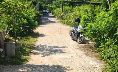 dijual tanah 1063m² IDR 500 juta per are dekat Melasti beach Ungasan Kuta Selatan Badung Bali