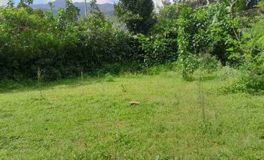 dijual lahan + bangunan semi villa pinggir jalan udara sejuk