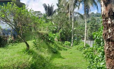 dijual lahan + bangunan semi villa pinggir jalan udara sejuk