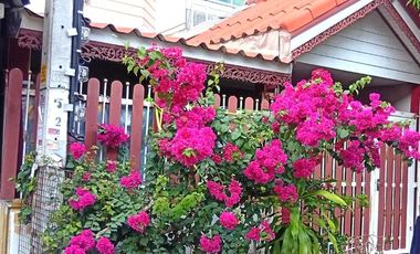 ขายทาว์นเฮ้าส์ 2 ชั้น ม.พิศาล เทียนทะเล ซอย20  บางขุนเทียน แสมดำ พระรามสอง ราคาดีมาก