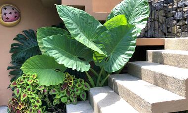 CASA DE CAMPO AMATLAN, IDEAL PARA DESCANSO Y/O AIRBNB