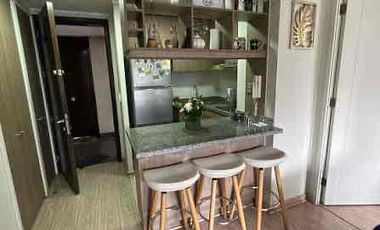 ARRIENDA DEPTO MUJICA 99, Ñuñoa