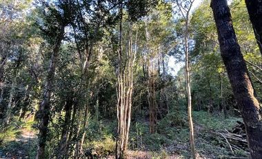 Vende parcela en Condominio Valle del Río, Chamiza, Pto. Montt
