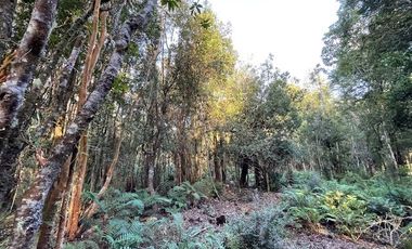 Vende parcela en Condominio Valle del Río, Chamiza, Pto. Montt