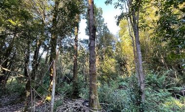 Vende parcela en Condominio Valle del Río, Chamiza, Pto. Montt