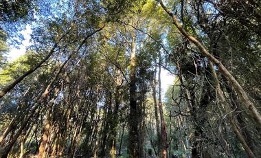 Vende parcela en Condominio Valle del Río, Chamiza, Pto. Montt