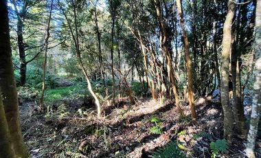 Vende parcela en Condominio Valle del Río, Chamiza, Pto. Montt