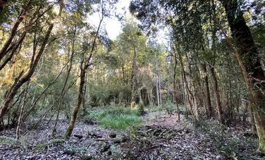 Vende parcela en Condominio Valle del Río, Chamiza, Pto. Montt