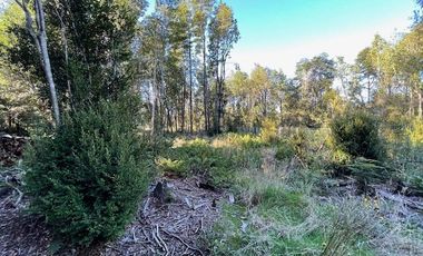 Vende parcela en Condominio Valle del Río, Chamiza, Pto. Montt