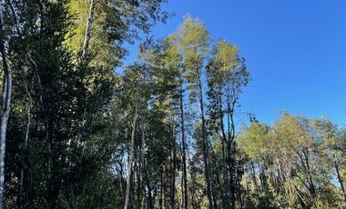 Vende parcela en Condominio Valle del Río, Chamiza, Pto. Montt