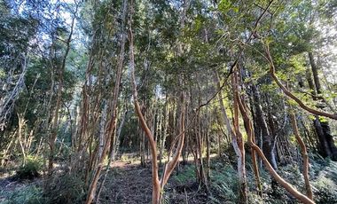 Vende parcela en Condominio Valle del Río, Chamiza, Pto. Montt