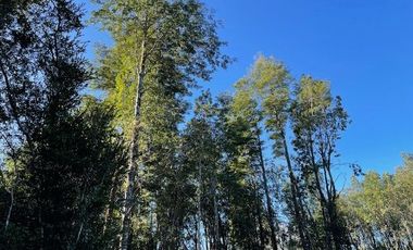 Vende parcela en Condominio Valle del Río, Chamiza, Pto. Montt