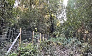 Vende parcela en Condominio Valle del Río, Chamiza, Pto. Montt