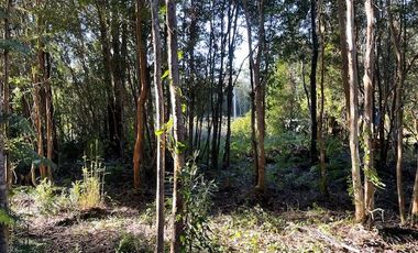 Vende parcela en Condominio Valle del Río, Chamiza, Pto. Montt