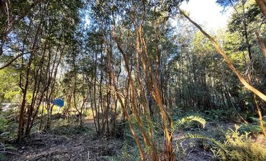 Vende parcela en Condominio Valle del Río, Chamiza, Pto. Montt