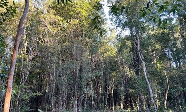 Vende parcela en Condominio Valle del Río, Chamiza, Pto. Montt