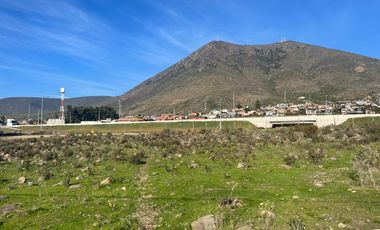 OPORTUNIDAD Terreno con Galpón al costado de Ruta 5 Norte, Pichidangui.
