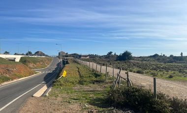 OPORTUNIDAD Terreno con Galpón al costado de Ruta 5 Norte, Pichidangui.