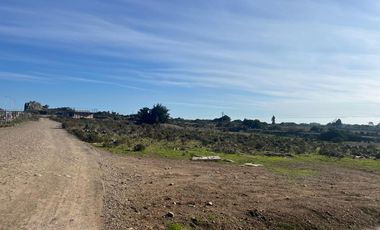 OPORTUNIDAD Terreno con Galpón al costado de Ruta 5 Norte, Pichidangui.