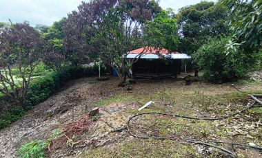 Finca Vacacional en Venta, Sabanilla, Pedro Carbo, Guayas - Ecuador