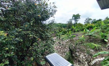 Finca Vacacional en Venta, Sabanilla, Pedro Carbo, Guayas - Ecuador