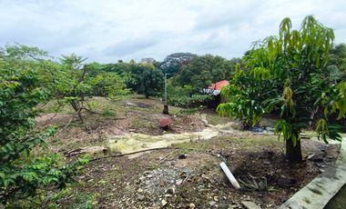 Finca Vacacional en Venta, Sabanilla, Pedro Carbo, Guayas - Ecuador