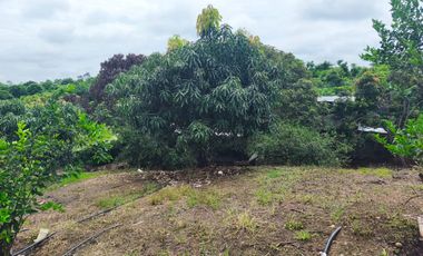 Finca Vacacional en Venta, Sabanilla, Pedro Carbo, Guayas - Ecuador