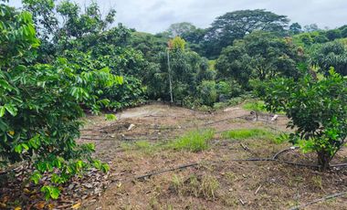 Finca Vacacional en Venta, Sabanilla, Pedro Carbo, Guayas - Ecuador