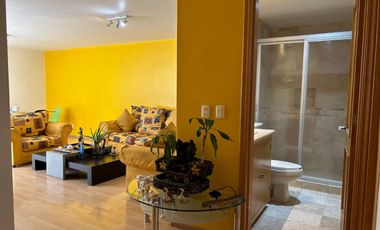 RENTO HABITACION EN JARDINES DEL PEDREGAL ALVARO OBREGON