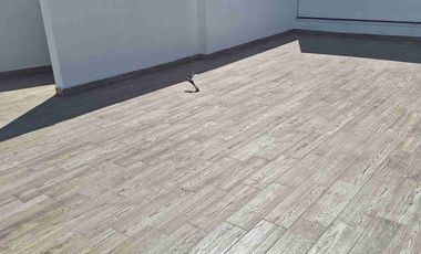 Atrás de la Universidad