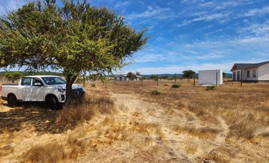 Se vende Parcela de 5.000 m2 en Mallermo, Marchigue