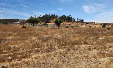 Se vende Parcela de 5.000 m2 en Mallermo, Marchigue