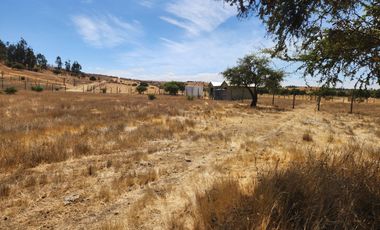 Se vende Parcela de 5.000 m2 en Mallermo, Marchigue