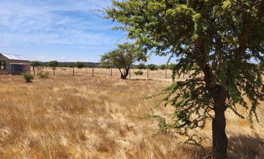 Se vende Parcela de 5.000 m2 en Mallermo, Marchigue