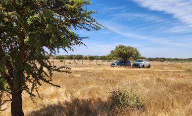 Se vende Parcela de 5.000 m2 en Mallermo, Marchigue