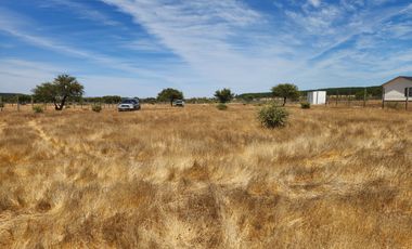 Se vende Parcela de 5.000 m2 en Mallermo, Marchigue