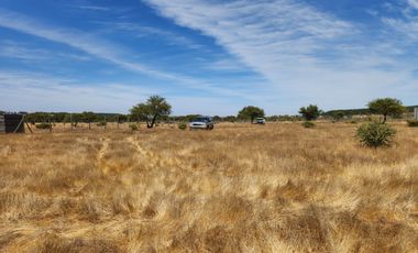 Se vende Parcela de 5.000 m2 en Mallermo, Marchigue