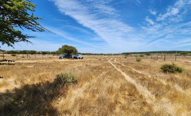 Se vende Parcela de 5.000 m2 en Mallermo, Marchigue