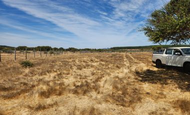 Se vende Parcela de 5.000 m2 en Mallermo, Marchigue
